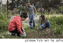 פינה ירוקה בלב: הסטודנטים שפועלים למען החברה ברחבי ירושלים